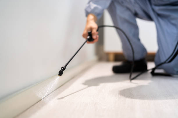 Licensed Cockroach Control service in River Park, FL - Nex Pest Control