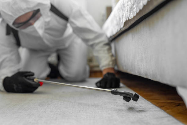 Professional Cockroach Control technician working in River Park, FL