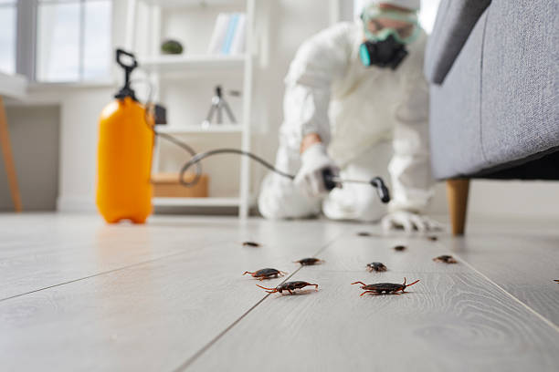 Trusted Cockroach Control service in River Park, FL - Nex Pest Control