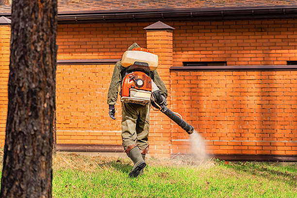 Trusted Mosquito Control service in River Park, FL - Nex Pest Control